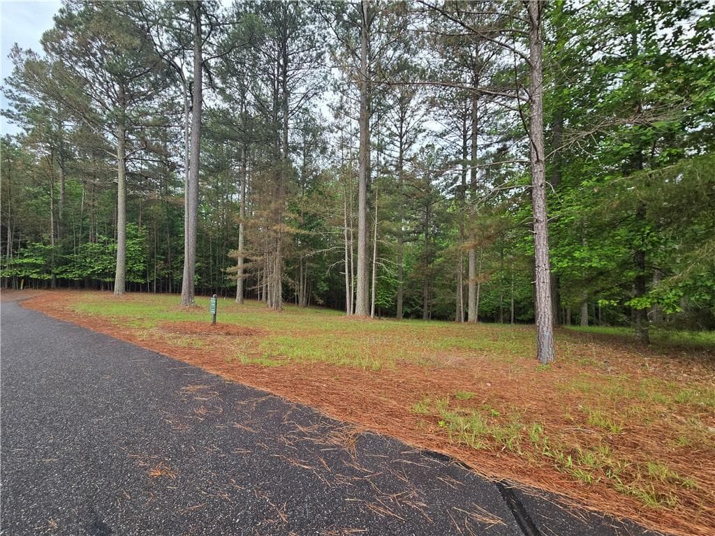 single family residence for sale at 0 Sweetwater Lane, Blairsville, GA 30512 — photo 8
