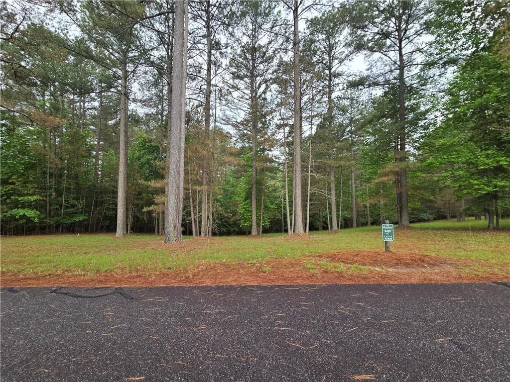 single family residence for sale at 0 Sweetwater Lane, Blairsville, GA 30512 — photo 9