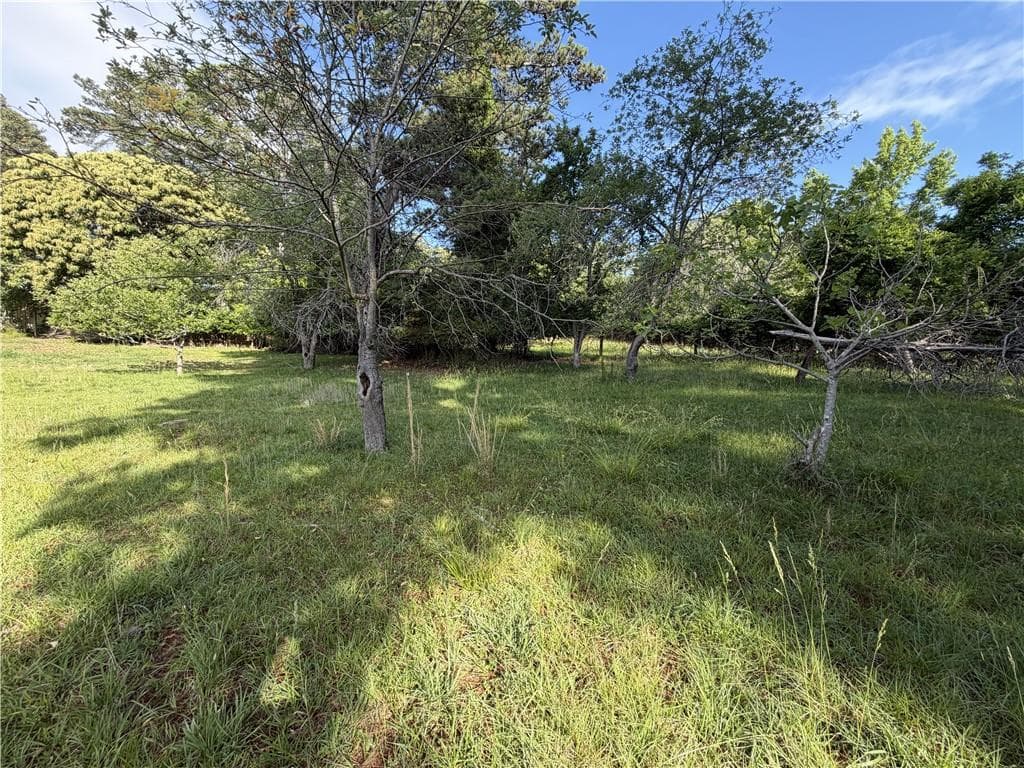 unimproved land for sale at 6550 Old Garrett Road, Buford, GA 30518 — photo 2