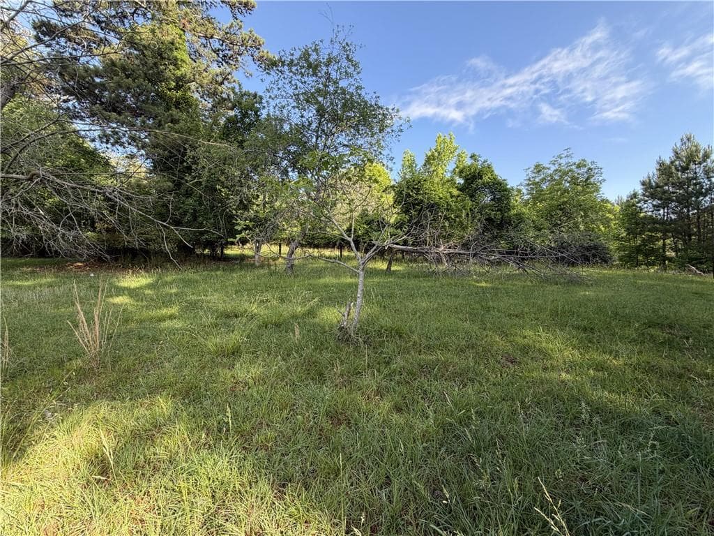 unimproved land for sale at 6550 Old Garrett Road, Buford, GA 30518 — photo 3