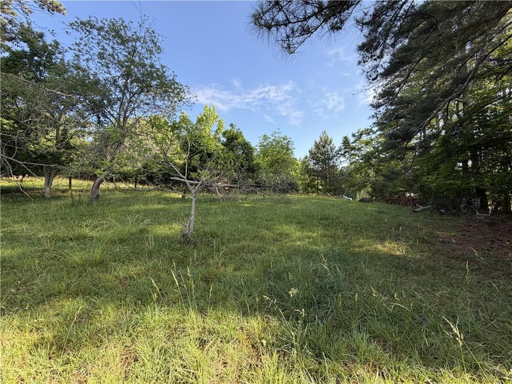 unimproved land for sale at 6550 Old Garrett Road, Buford, GA 30518 — photo 6