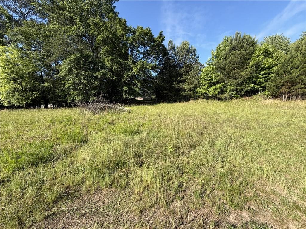 unimproved land for sale at 6550 Old Garrett Road, Buford, GA 30518 — photo 7
