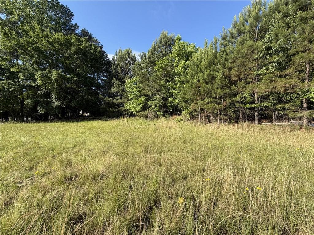 unimproved land for sale at 6550 Old Garrett Road, Buford, GA 30518 — photo 8