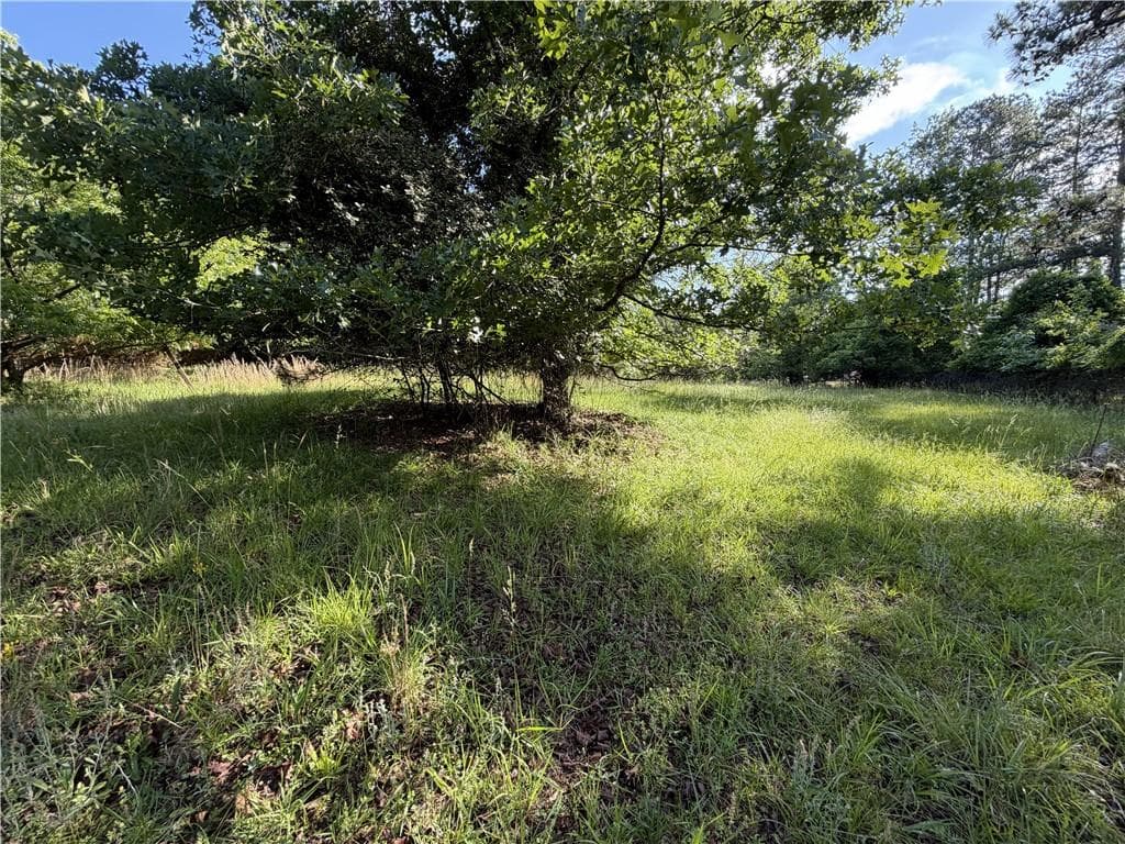 unimproved land for sale at 6550 Old Garrett Road, Buford, GA 30518 — photo 9