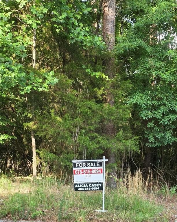 unimproved land for sale at 2399 Philadelphia Road, Conyers, GA 30012 — photo 1 of 1