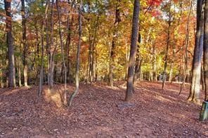 single family residence for sale at 1048 Thrasher Way, Big Canoe, GA 30143 — photo 5