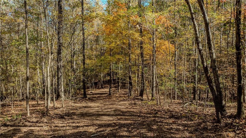 unimproved land for sale at 0 Jones Ferry Road, Chattahoochee Hills, GA 30268