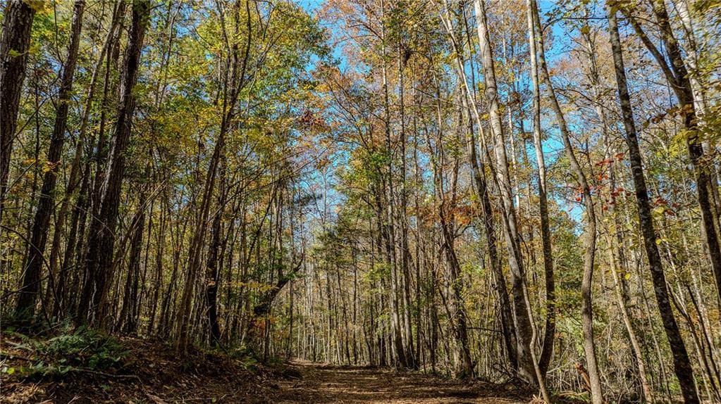 unimproved land for sale at 0 Jones Ferry Road, Chattahoochee Hills, GA 30268 — photo 3