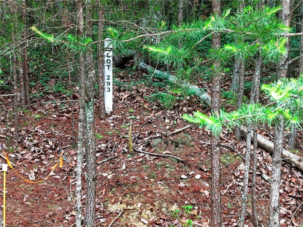 other for sale at 0 Ridgeside Court, Jasper, GA 30143 — photo 2