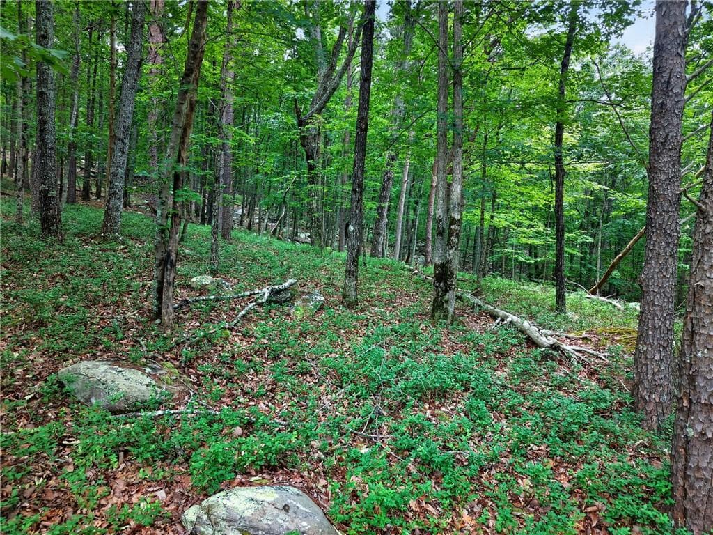 other for sale at 0 Ridgeside Court, Jasper, GA 30143 — photo 3