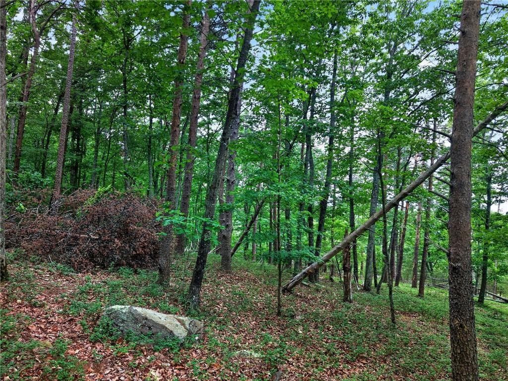 other for sale at 0 Ridgeside Court, Jasper, GA 30143 — photo 4