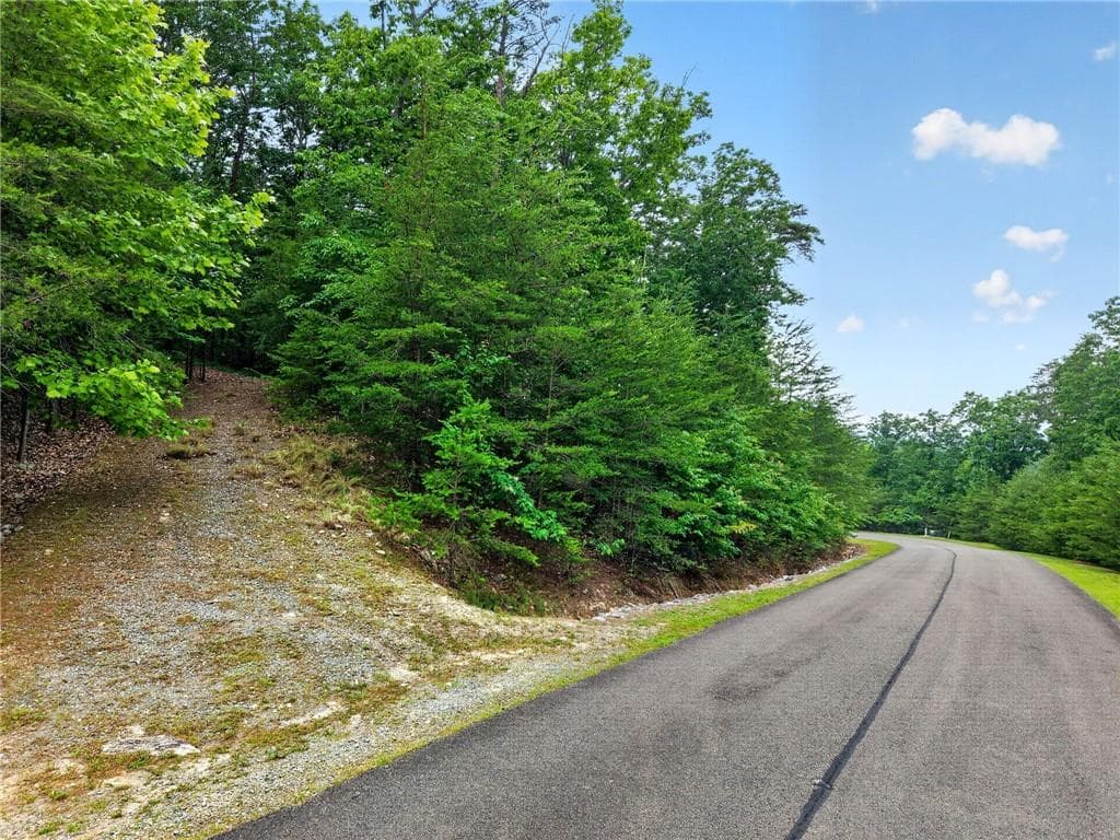 other for sale at 0 Ridgeside Court, Jasper, GA 30143 — photo 6