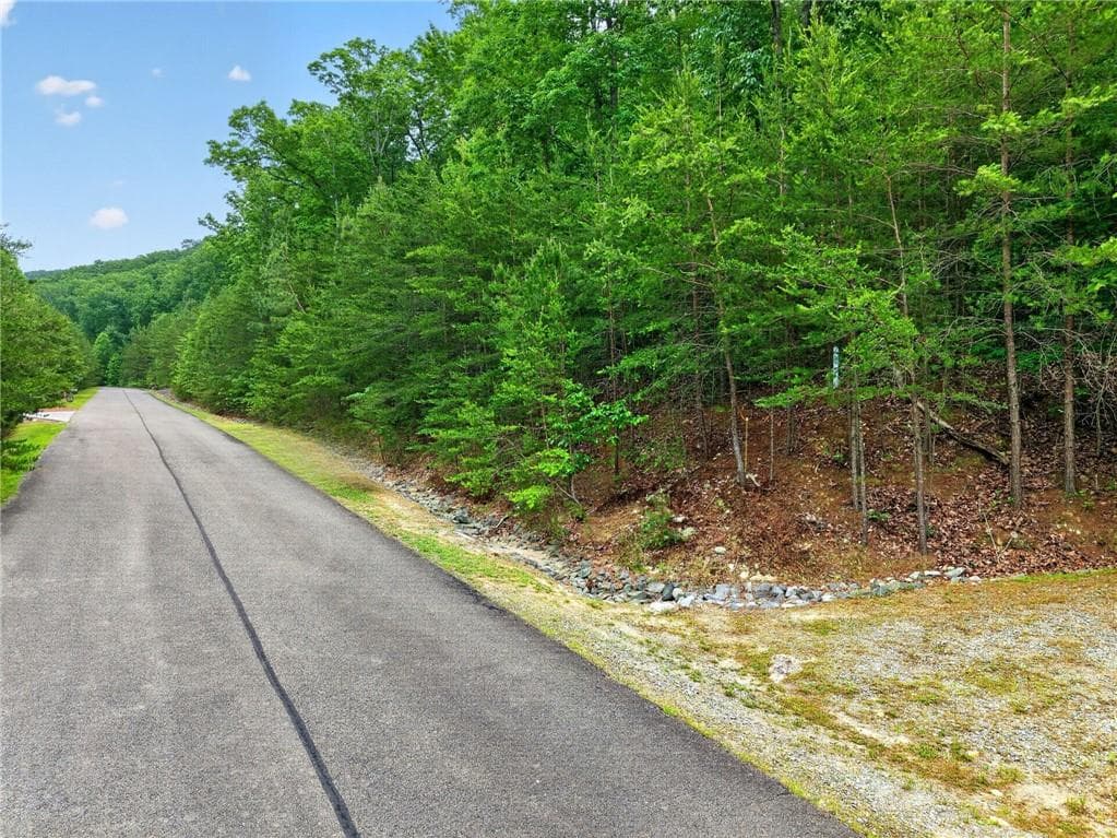 other for sale at 0 Ridgeside Court, Jasper, GA 30143 — photo 7