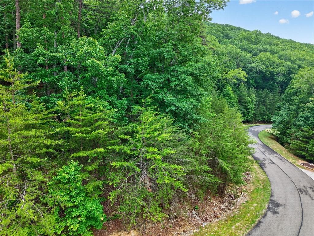 other for sale at 0 Ridgeside Court, Jasper, GA 30143 — photo 8