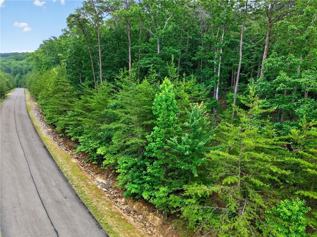 other for sale at 0 Ridgeside Court, Jasper, GA 30143 — photo 9