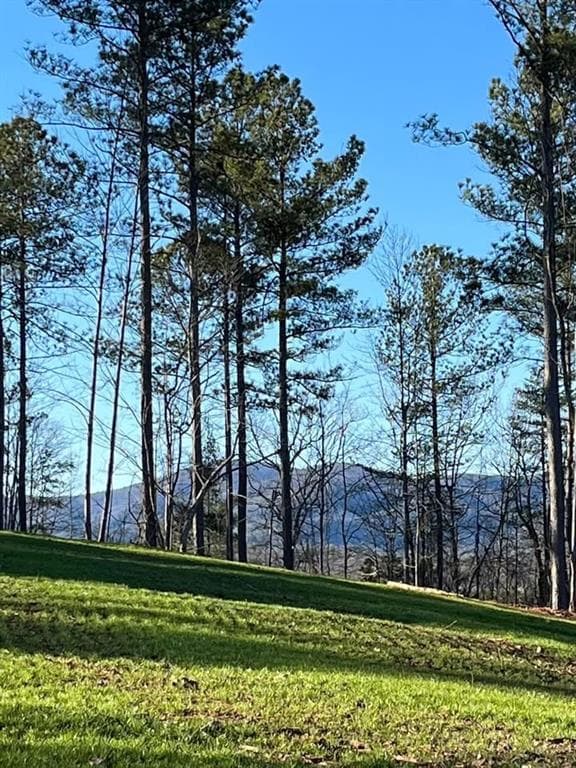 other for sale at 6480 Highway 52, Dahlonega, GA 30533 — photo 4