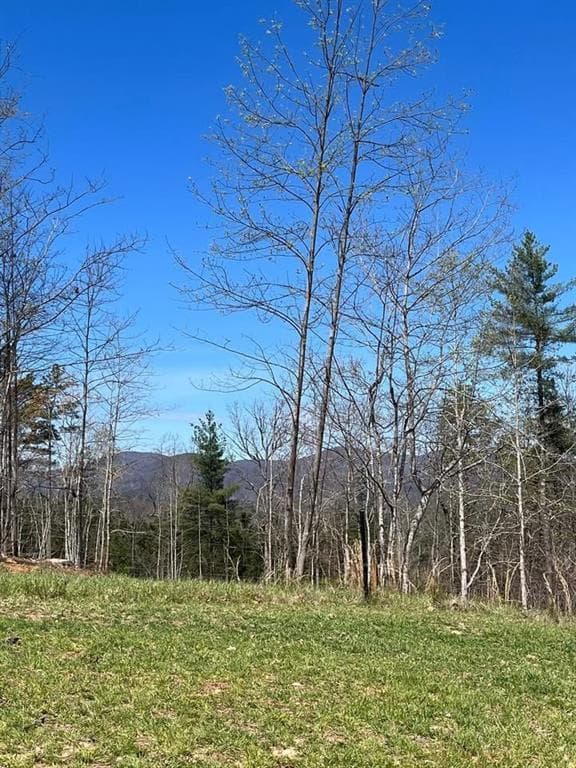 other for sale at 6480 Highway 52, Dahlonega, GA 30533 — photo 5