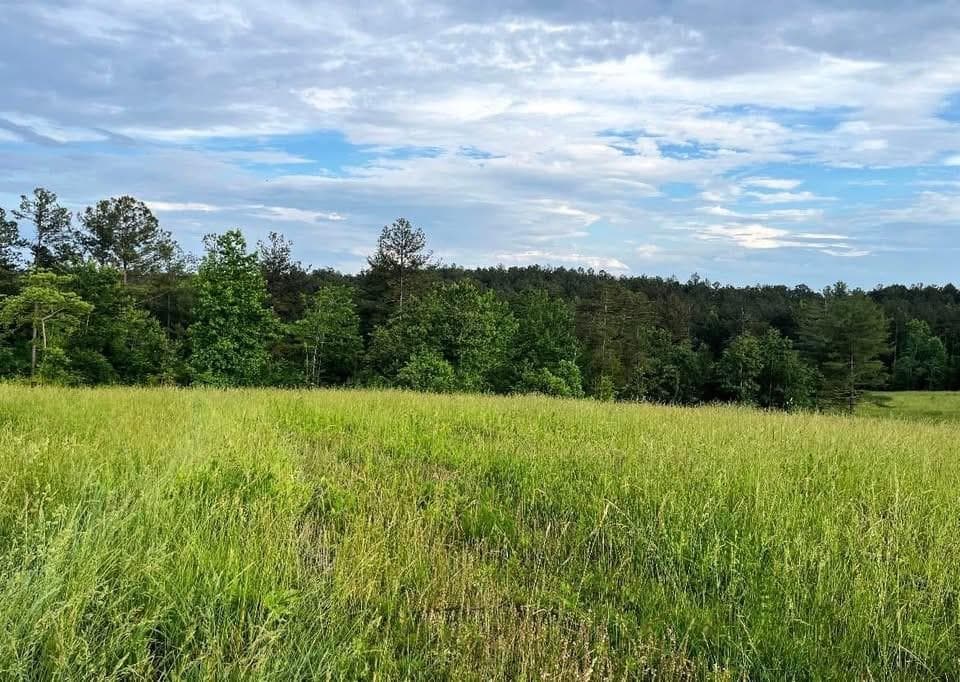 other for sale at 6480 Highway 52, Dahlonega, GA 30533 — photo 6