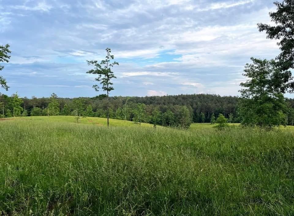 other for sale at 6480 Highway 52, Dahlonega, GA 30533 — photo 9