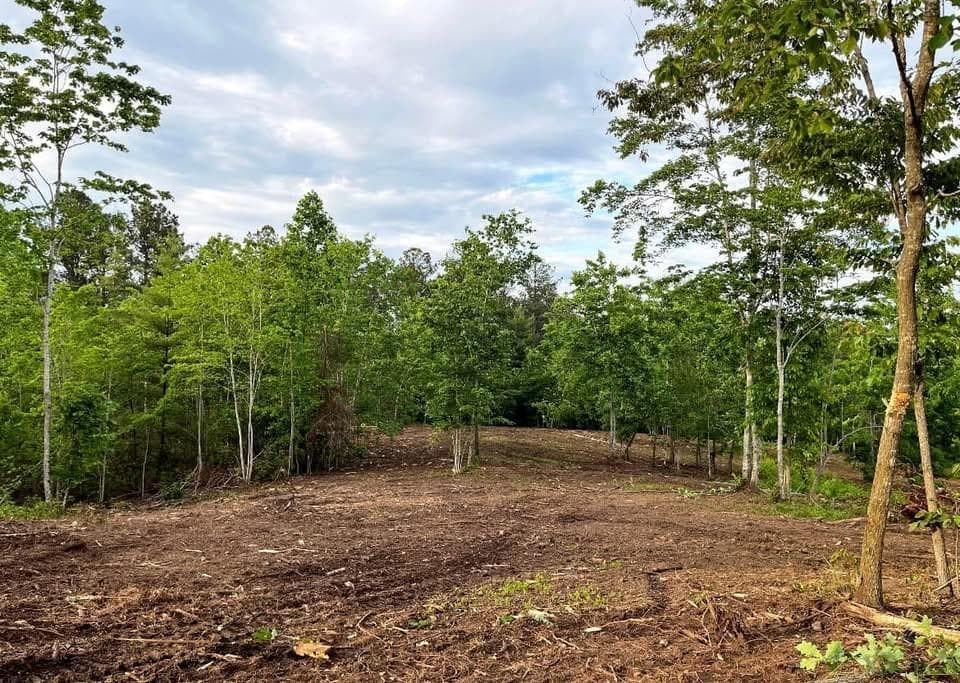 other for sale at 6480 Highway 52, Dahlonega, GA 30533 — photo 10