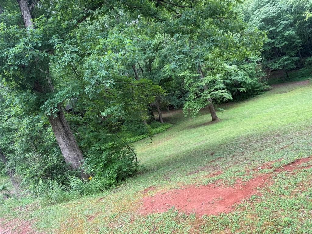 single family residence for sale at Lot 7D Meadow View Lane, Cleveland, GA 30528 — photo 4