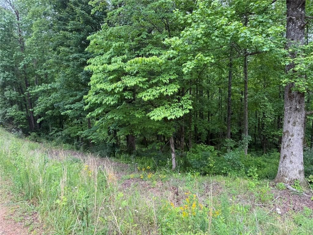 single family residence for sale at Lot 7D Meadow View Lane, Cleveland, GA 30528 — photo 5