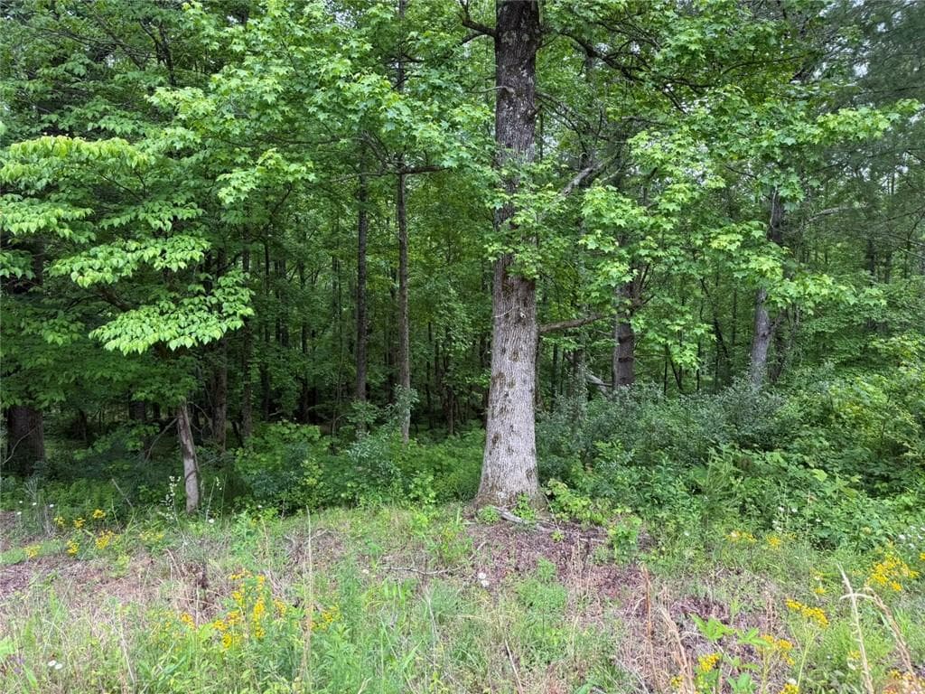 single family residence for sale at Lot 7D Meadow View Lane, Cleveland, GA 30528 — photo 6