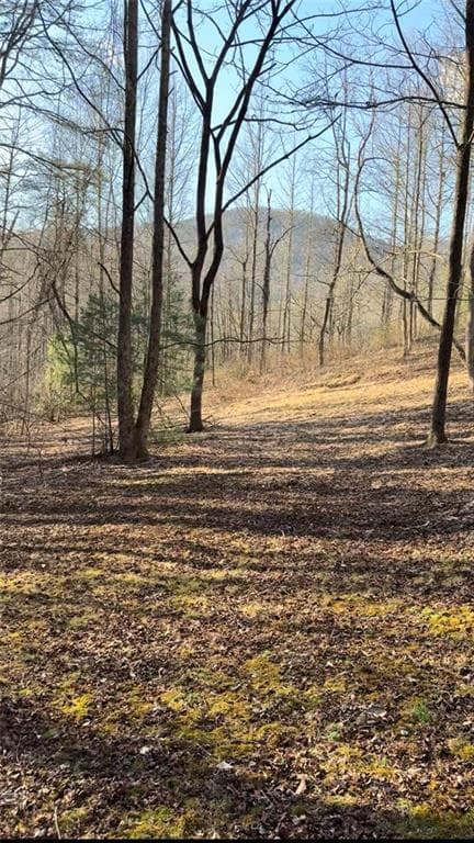 single family residence for sale at Lot 7D Meadow View Lane, Cleveland, GA 30528 — photo 10