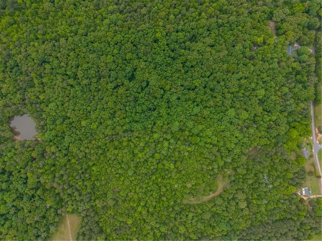 unimproved land for sale at 0 Mullinax Road, Taylorsville, GA 30178 — photo 2