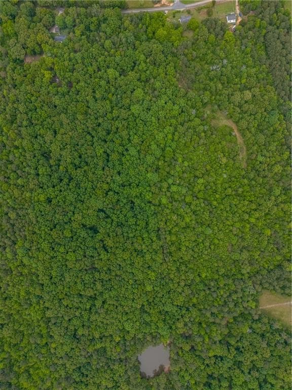 unimproved land for sale at 0 Mullinax Road, Taylorsville, GA 30178 — photo 3
