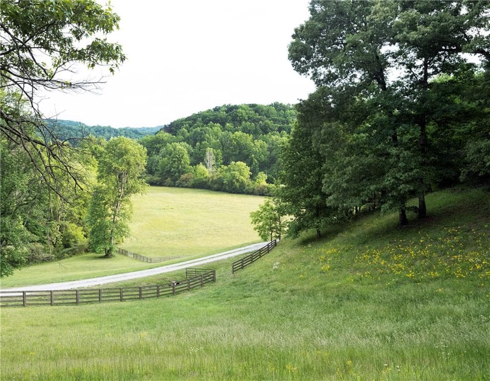 7 bedroom, 7 bathroom, 9,539 sq ft single family residence for sale at 619 Hamp Mill Road, Dahlonega, GA 30533 — photo 3