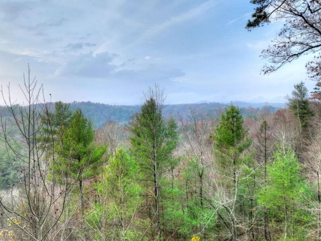 2 bedroom, 2 bathroom, 864 sq ft single family residence for sale at 89 N Whitepath Circle, Ellijay, GA 30540 — photo 5