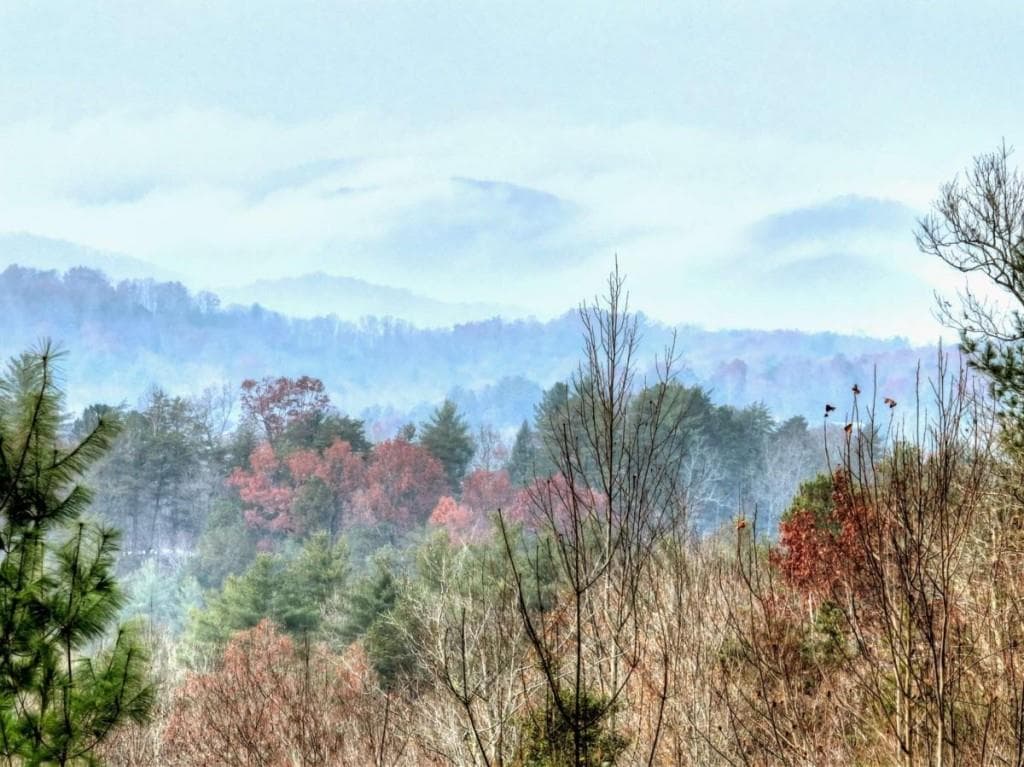 2 bedroom, 2 bathroom, 864 sq ft single family residence for sale at 89 N Whitepath Circle, Ellijay, GA 30540 — photo 6