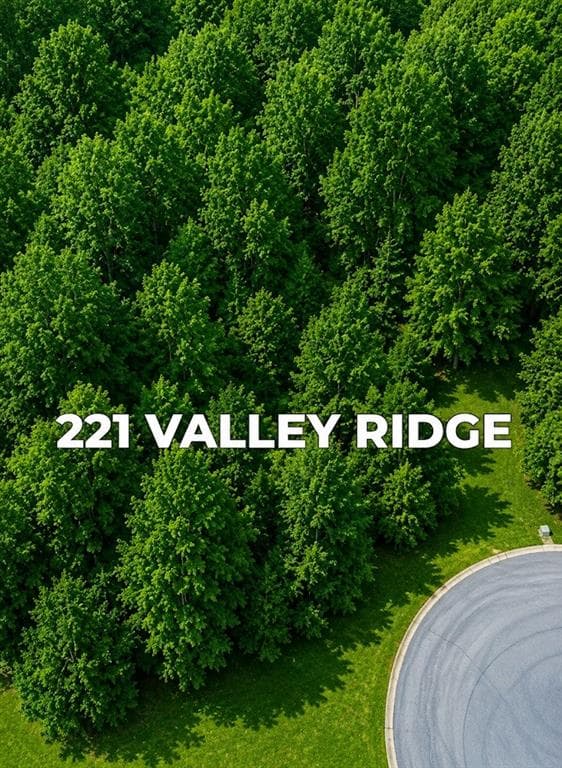other for sale at 221 Valley Ridge Drive, Carrollton, GA 30116