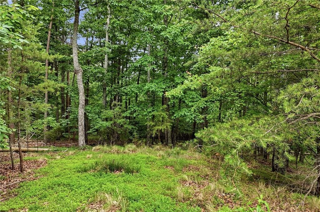 unimproved land for sale at 0 Owl Ridge Way, Jasper, GA 30143 — photo 3