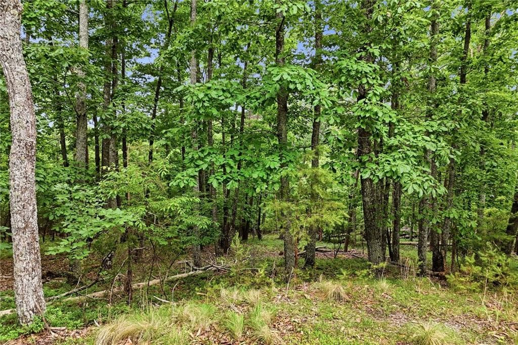 unimproved land for sale at 0 Owl Ridge Way, Jasper, GA 30143 — photo 8