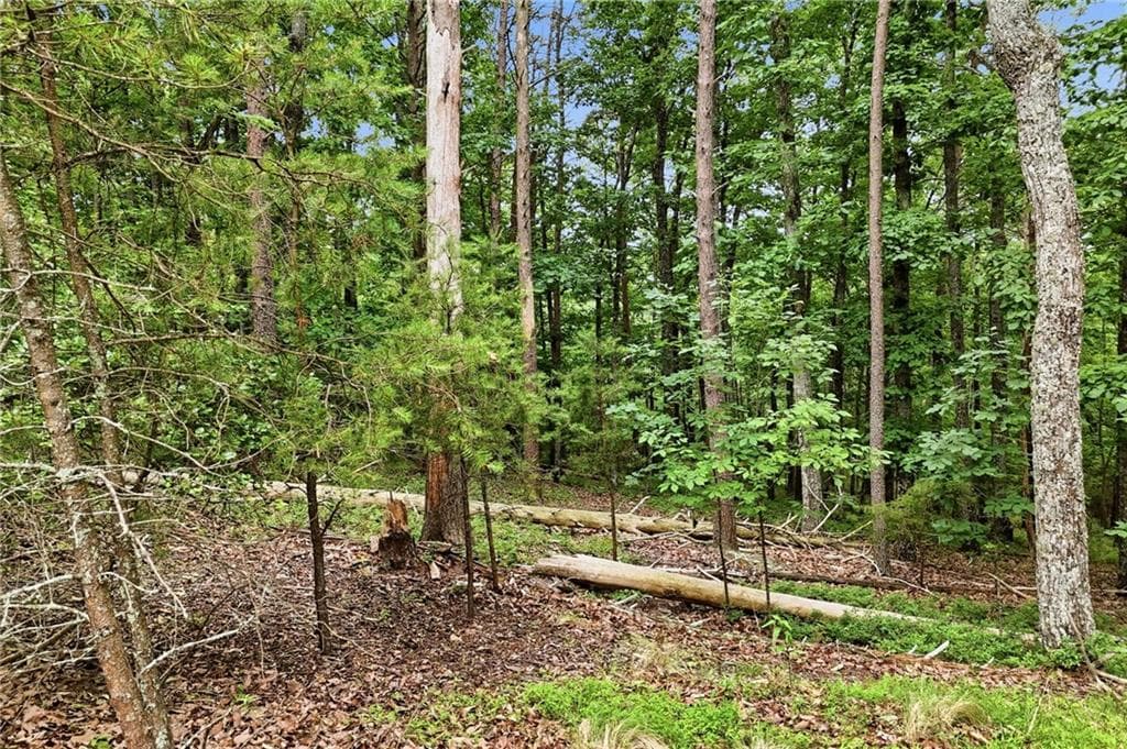 unimproved land for sale at 0 Owl Ridge Way, Jasper, GA 30143 — photo 9