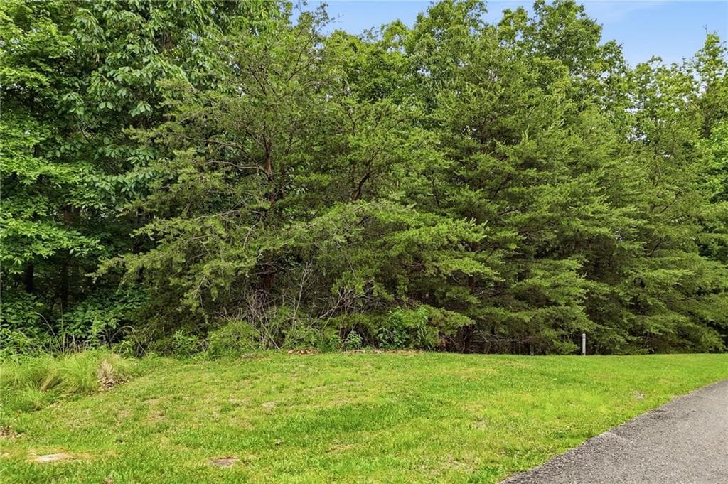 unimproved land for sale at 0 Owl Ridge Way, Jasper, GA 30143 — photo 10