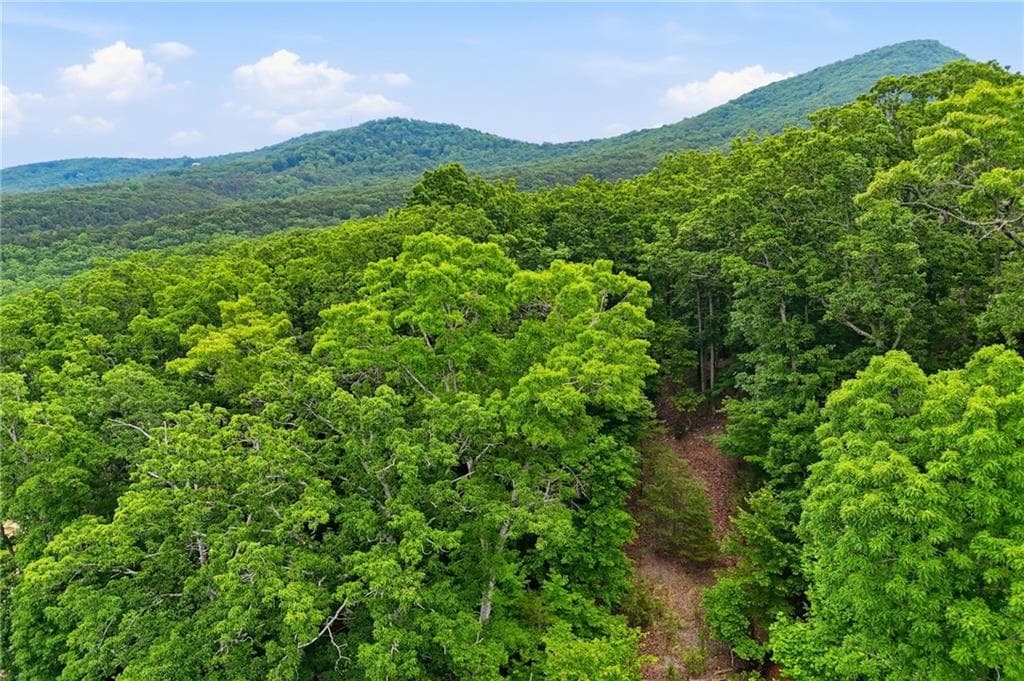 unimproved land for sale at 0 Owl Ridge Way, Jasper, GA 30143 — photo 1 of 22