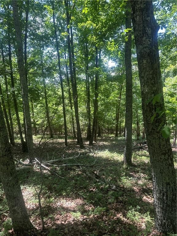 unimproved land for sale at 0 Owl Ridge Way, Jasper, GA 30143 — photo 2
