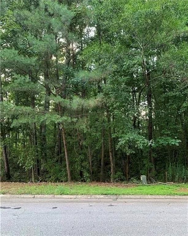 31,544 sq ft single family residence for sale at 0 Huiet Drive, Mcdonough, GA 30252 — photo 2
