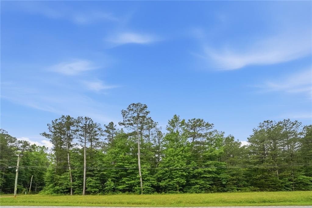 unimproved land for sale at 2907 Highway, Covington, GA 30016 — photo 2