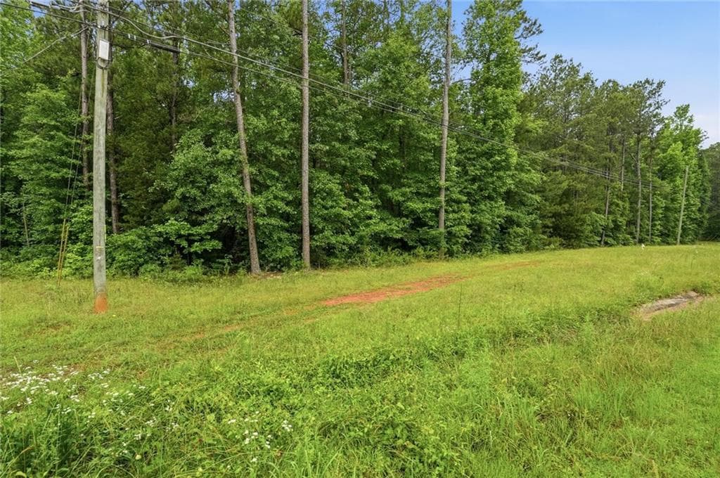 unimproved land for sale at 2907 Highway, Covington, GA 30016 — photo 3