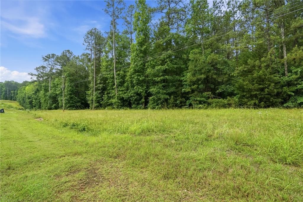 unimproved land for sale at 2907 Highway, Covington, GA 30016 — photo 1 of 19