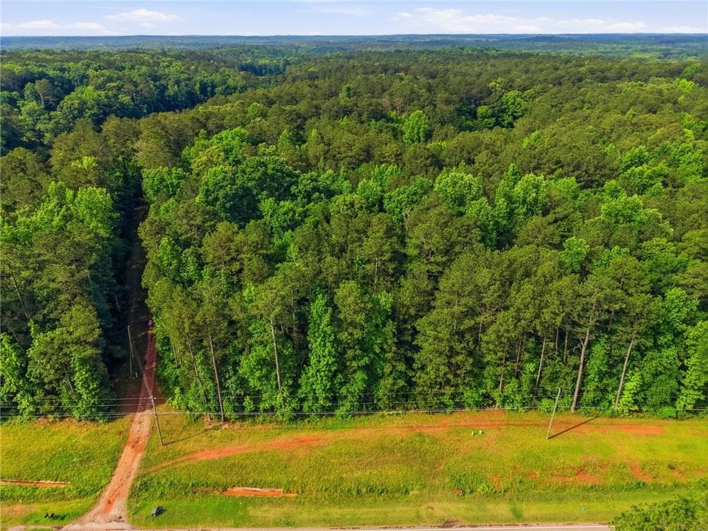 unimproved land for sale at 2907 Highway, Covington, GA 30016 — photo 4