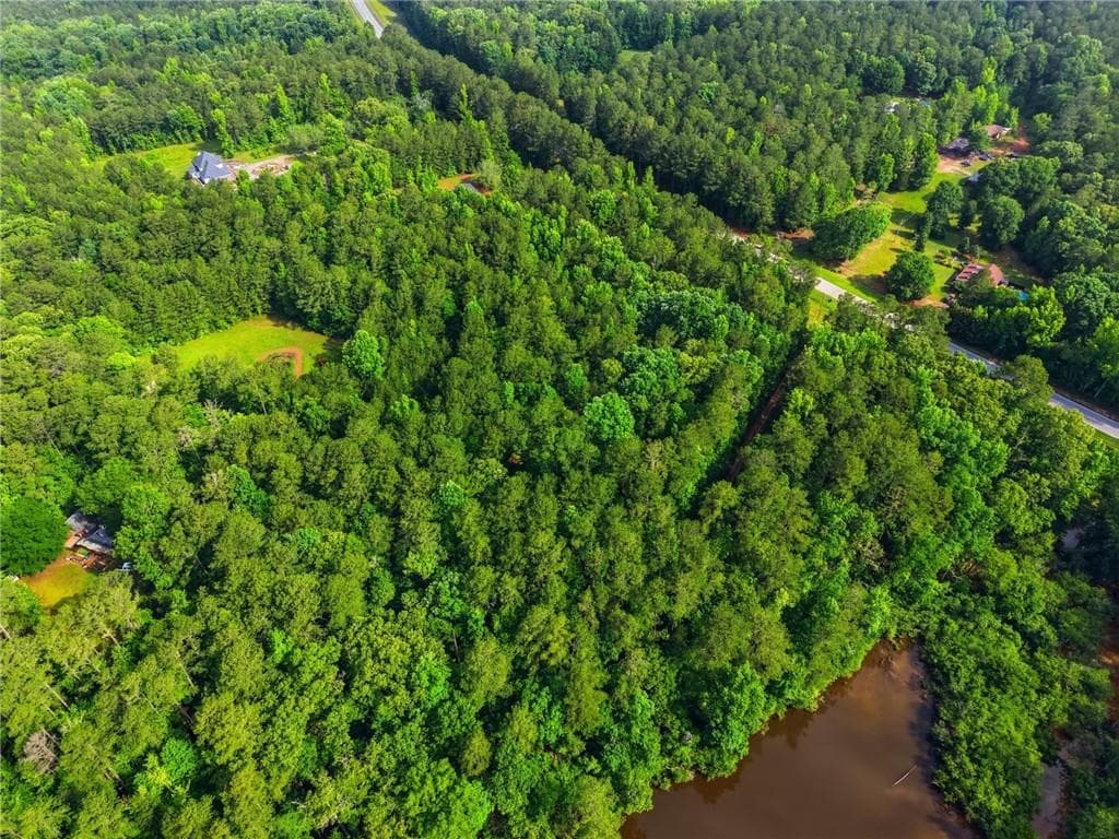 unimproved land for sale at 2907 Highway, Covington, GA 30016 — photo 8