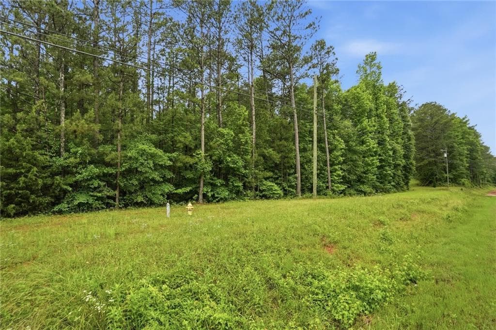unimproved land for sale at 2919 Highway, Covington, GA 30016 — photo 1 of 18