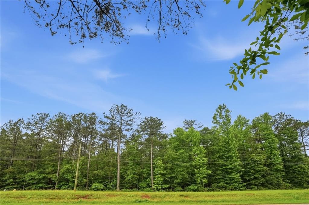 unimproved land for sale at 2919 Highway, Covington, GA 30016 — photo 2