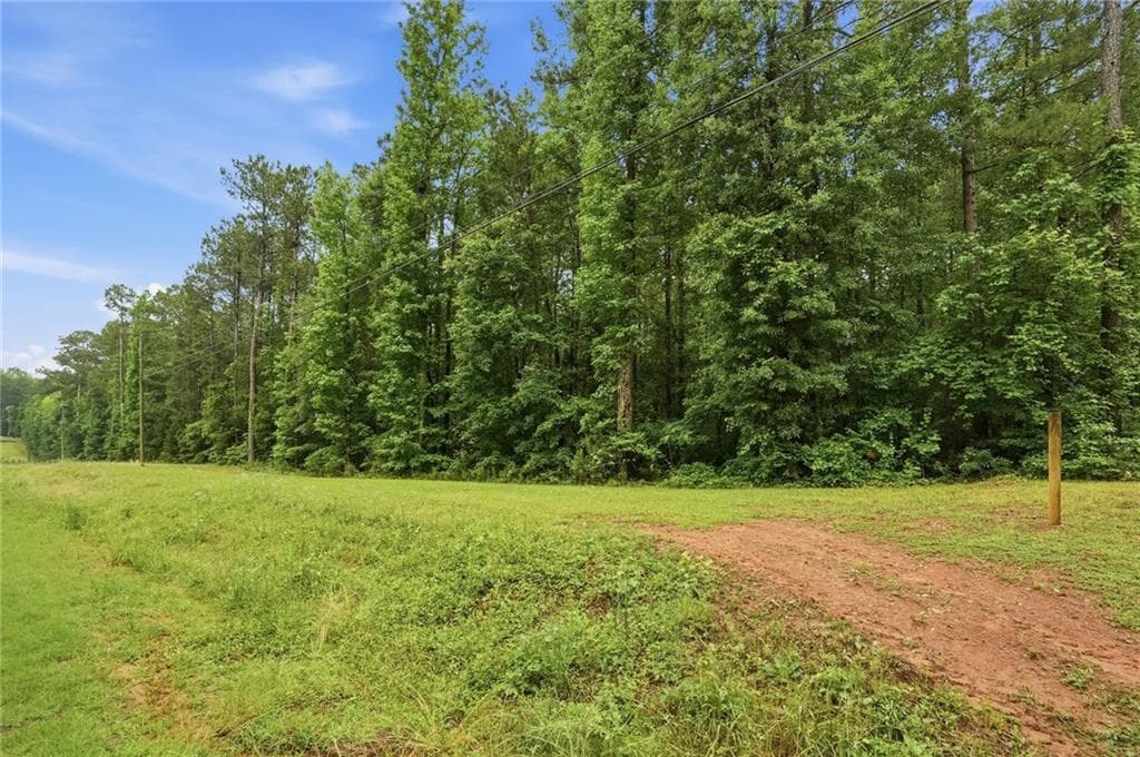 unimproved land for sale at 2919 Highway, Covington, GA 30016 — photo 3