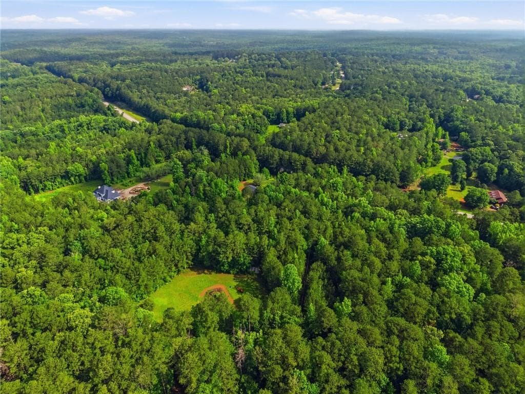 unimproved land for sale at 2919 Highway, Covington, GA 30016 — photo 8